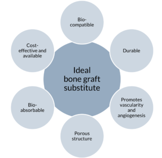 Ideal bone graft substitute