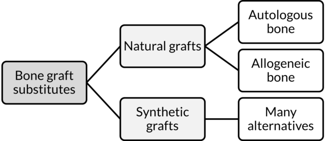 Natural and synthetic bone graft substitutes